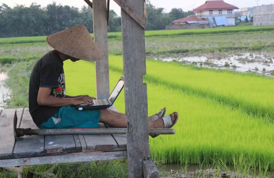 bisnis di kampung